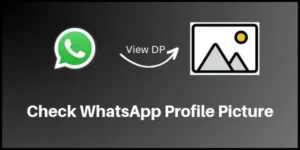 whatsapp profile dp viewer checker
